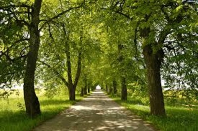 Rycerska Hotel, Nocleg MIĘDZYNARODOWY
SZLAK KRAKÓW-MORAWY-WIEDEŃKraków-Morawy-Wiedeń Greenways to szlak dziedzictwa p